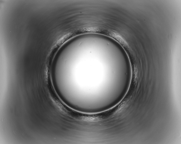 X0000086910542200704301039