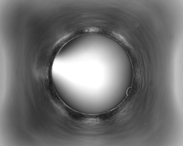 X0000086910543200704301039