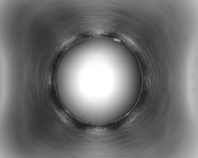 X0000086910546200704301039