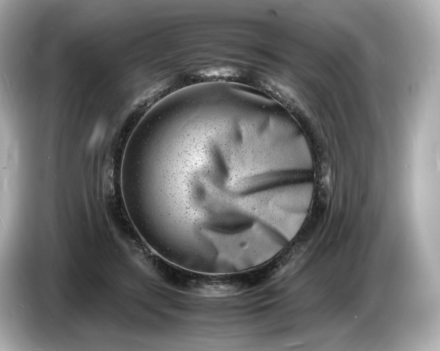 X0000086910547200704301039