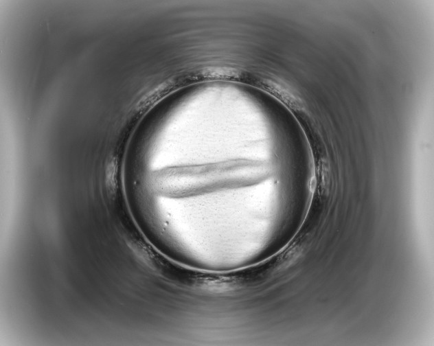 X0000086910550200704301039