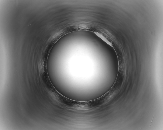 X0000086910552200704301039