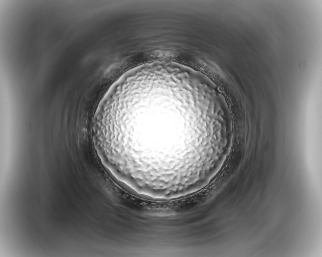 X0000086910553200704301039