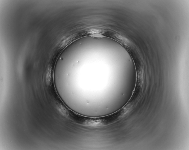 X0000086910554200704301039