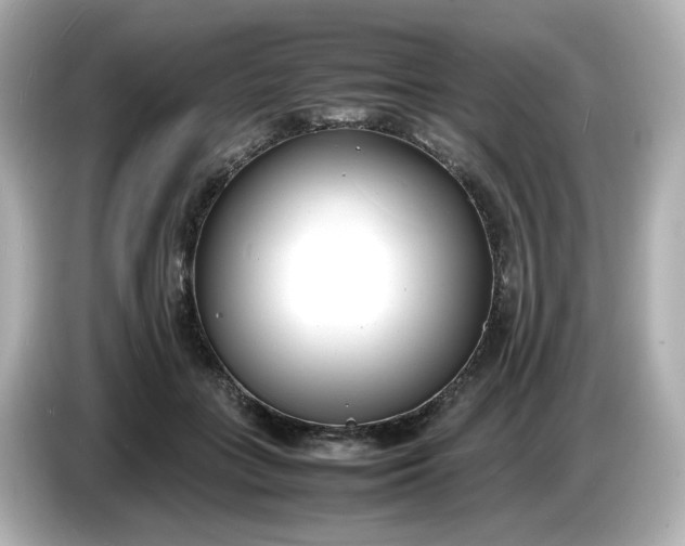 X0000086910555200704301039