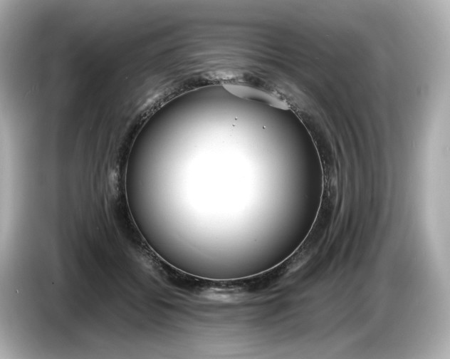 X0000086910556200704301039