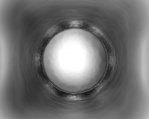 X0000086910557200704301039