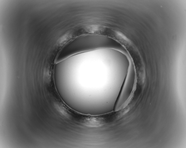 X0000086910558200704301039