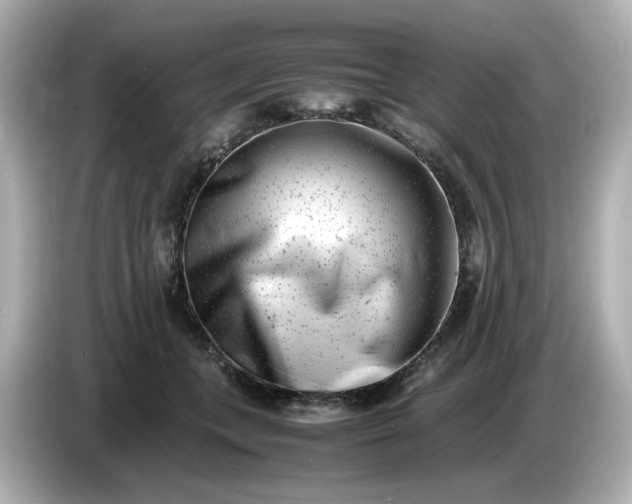 X0000086910559200704301039