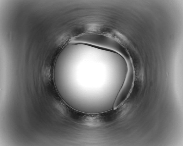 X0000086910560200704301039