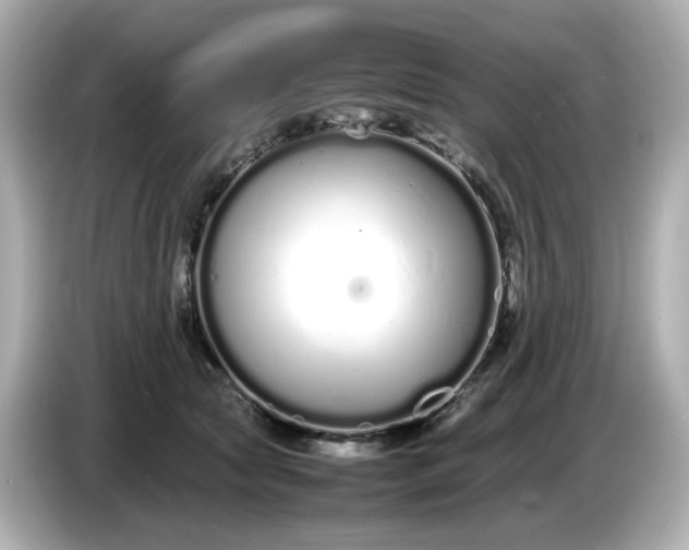 X0000086910561200704301039