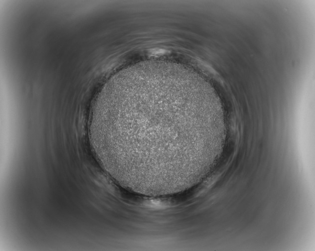 X0000086910565200704301039