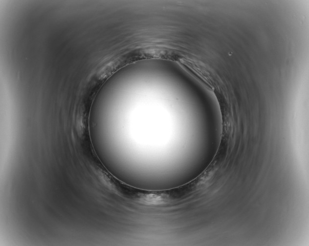 X0000086910566200704301039