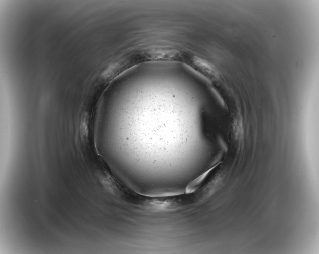 X0000086910570200704301039