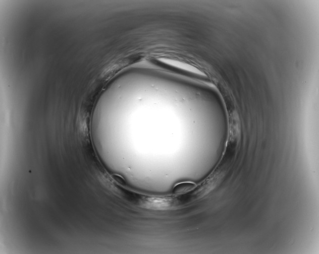 X0000086910573200704301039