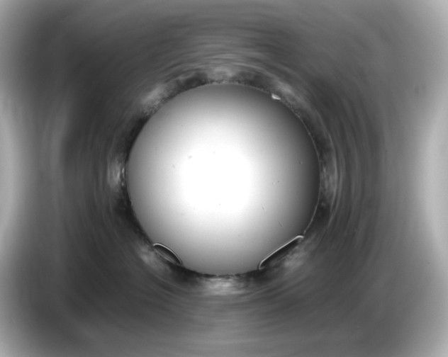 X0000086910574200704301039