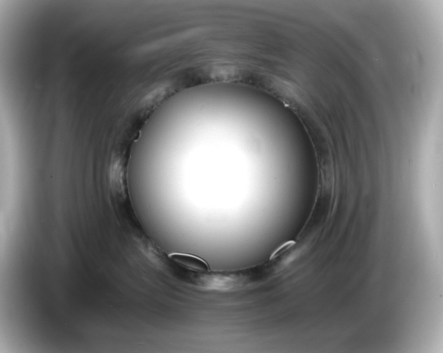 X0000086910575200704301039