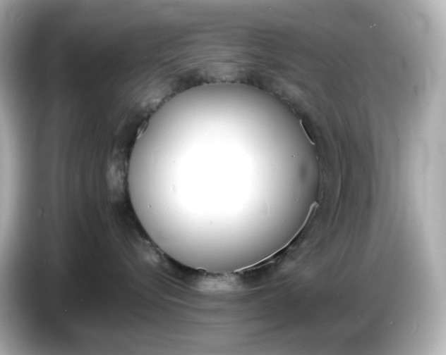 X0000086910576200704301039