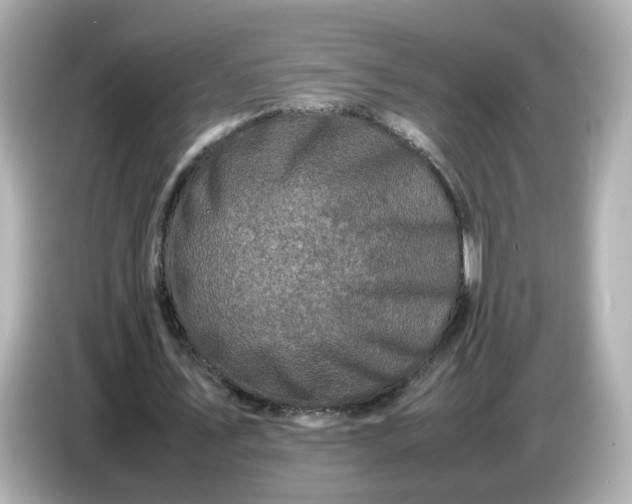 X0000086910579200704301039