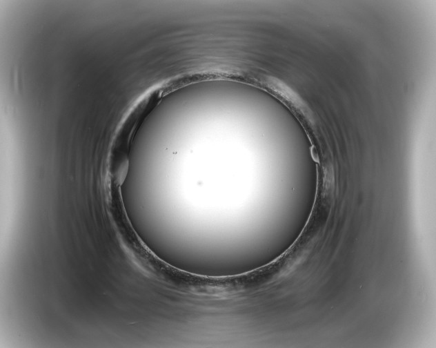 X0000086910580200704301039