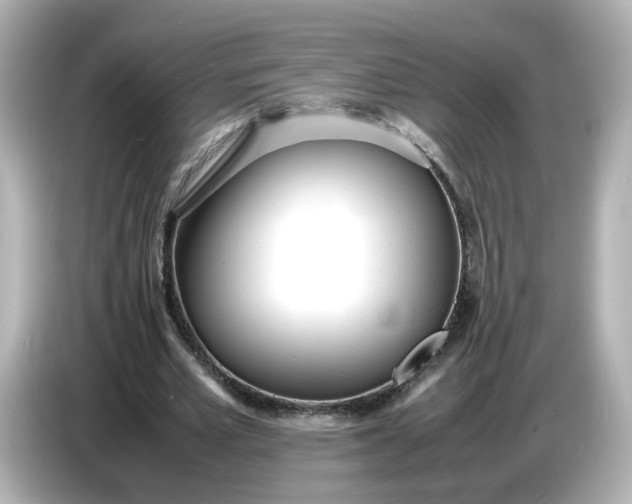 X0000086910581200704301039