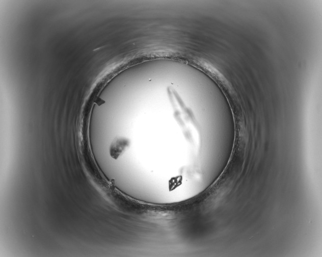 X0000086910582200704301039