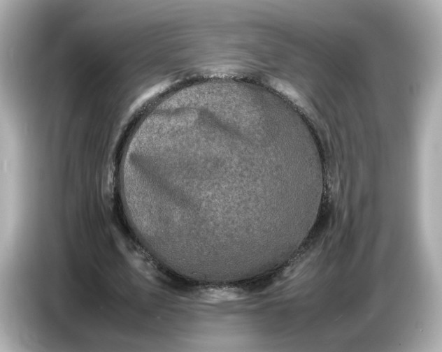 X0000086910583200704301039