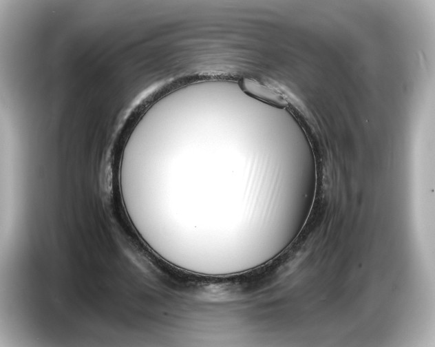 X0000086910584200704301039