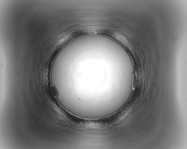 X0000086910585200704301039