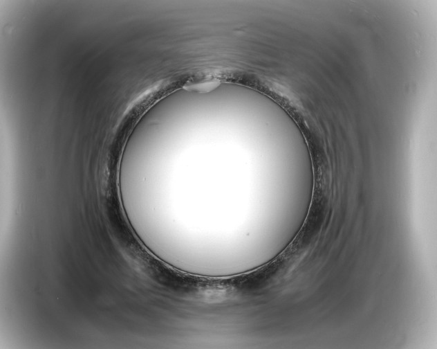 X0000086910587200704301039