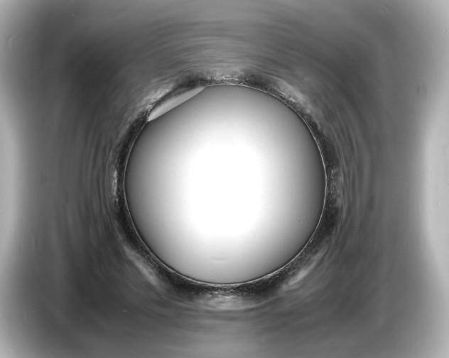 X0000086910589200704301039