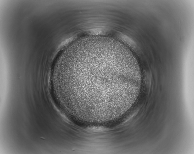 X0000086910590200704301039