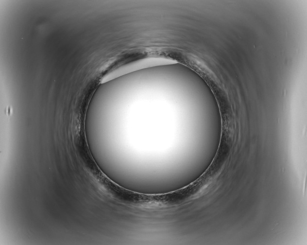 X0000086910593200704301039