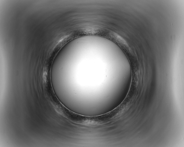 X0000086910596200704301039