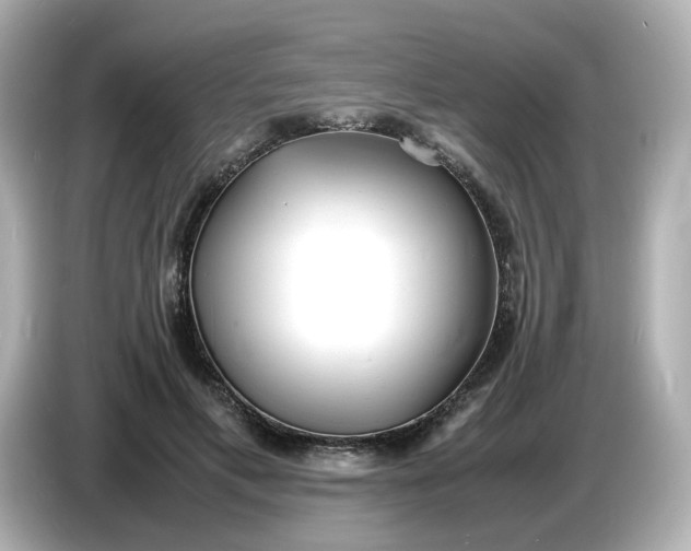 X0000086910597200704301039