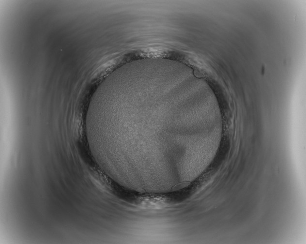 X0000086910599200704301039