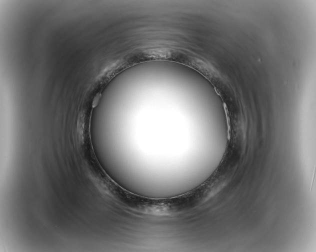 X0000086910600200704301039