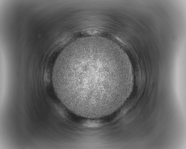 X0000086910606200704301038