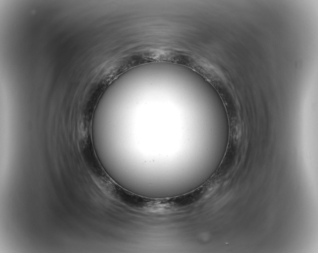 X0000086910607200704301038