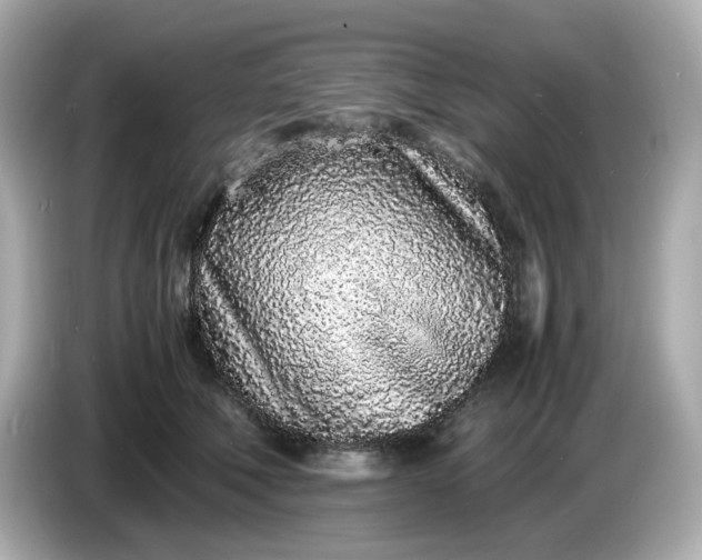 X0000086910610200704301038