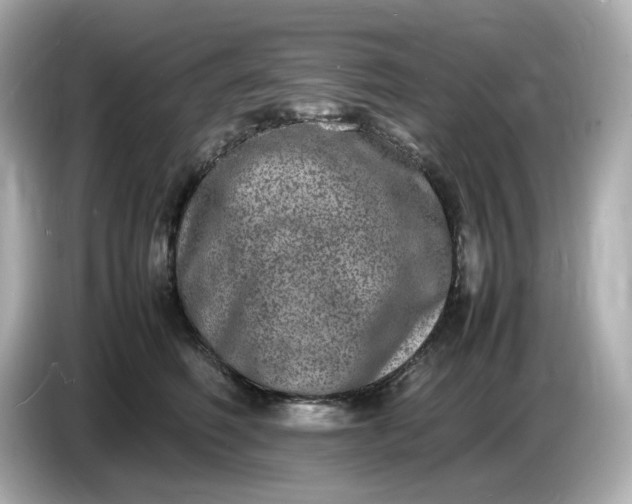 X0000086910614200704301038