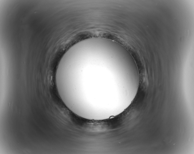 X0000086910615200704301038