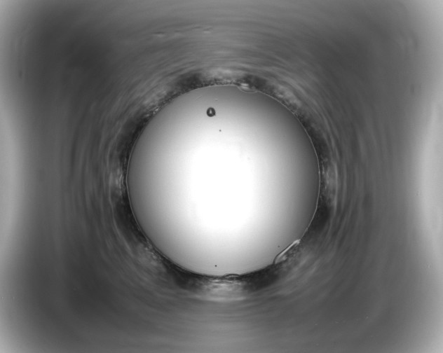 X0000086910617200704301038