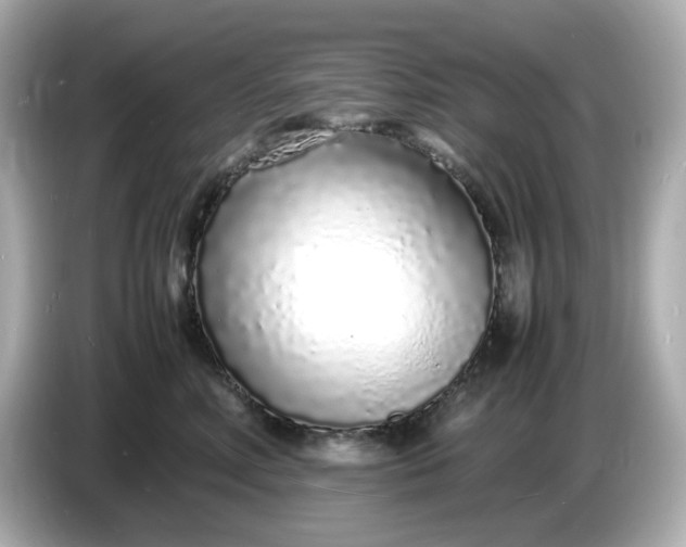 X0000086910618200704301038