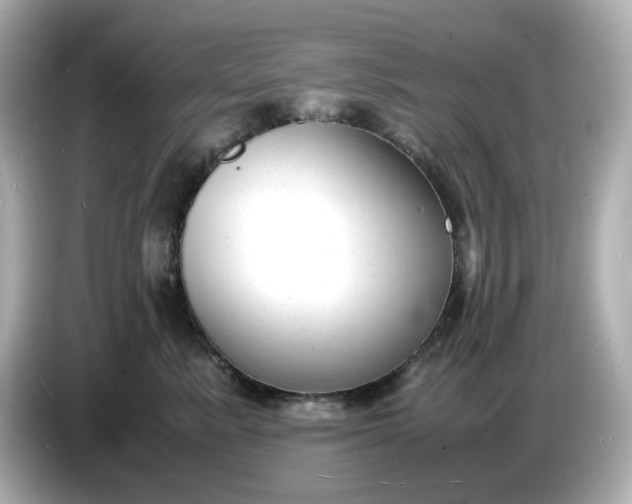 X0000086910619200704301038