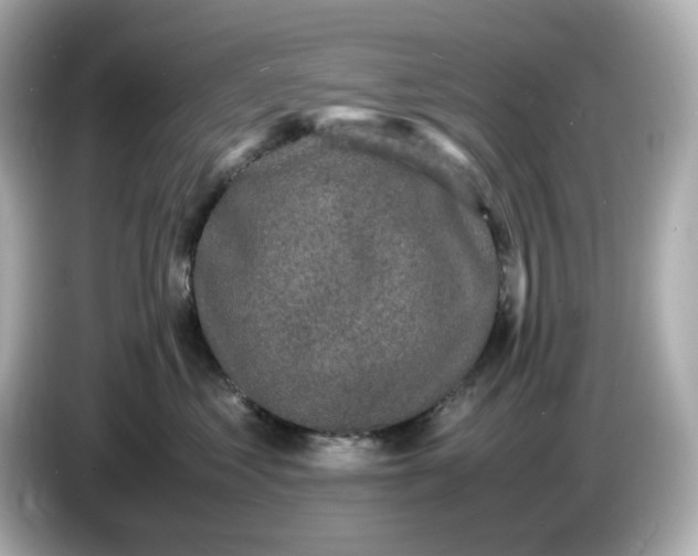 X0000086910621200704301038