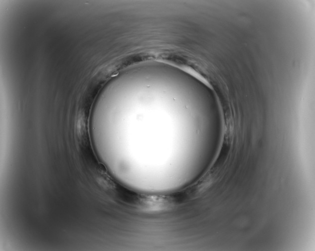 X0000086910623200704301038