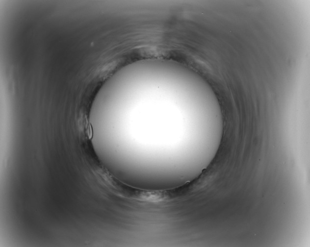 X0000086910624200704301038