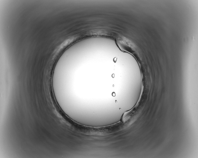 X0000086910625200704301038