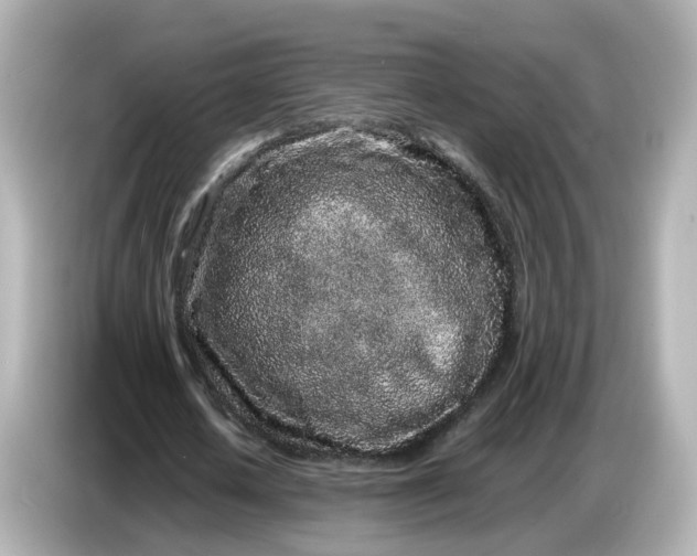 X0000086910626200704301038